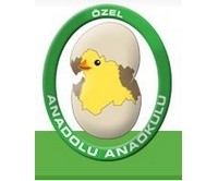 ÖZEL ANADOLU ANAOKULU