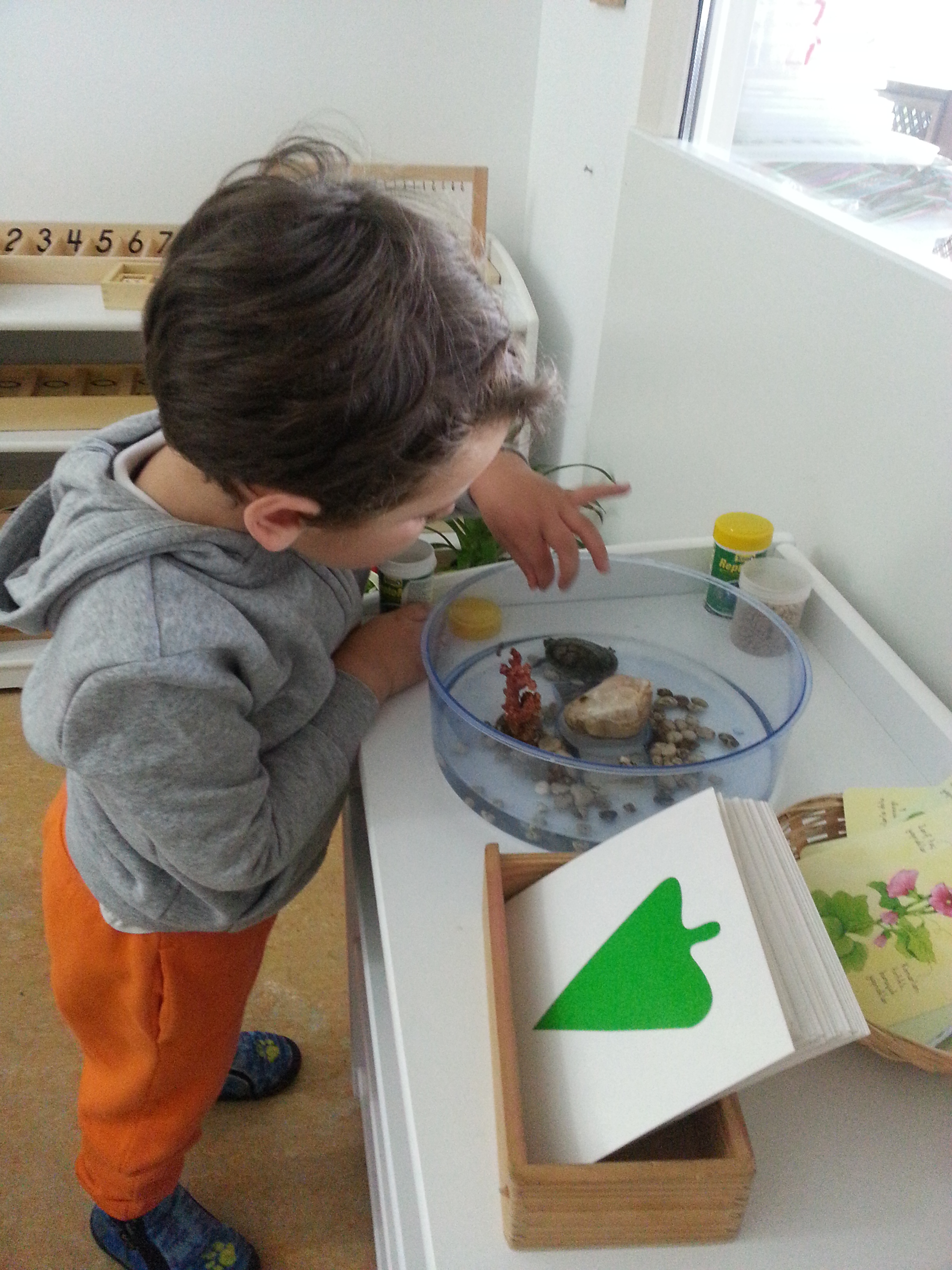 MUTLU PANDA MONTESSORI ANAOKULU ISTANBUL AVRUPA/BEŞIKTAŞ